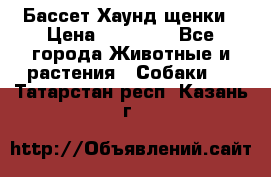 Бассет Хаунд щенки › Цена ­ 20 000 - Все города Животные и растения » Собаки   . Татарстан респ.,Казань г.